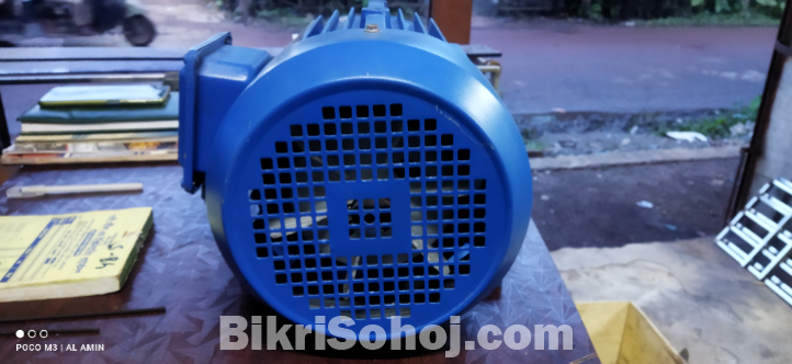 BG 5.5 HP 2800 RPM Induction Motor